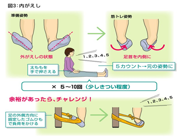 リハビリ通信6 足関節捻挫 | 京命クリニック